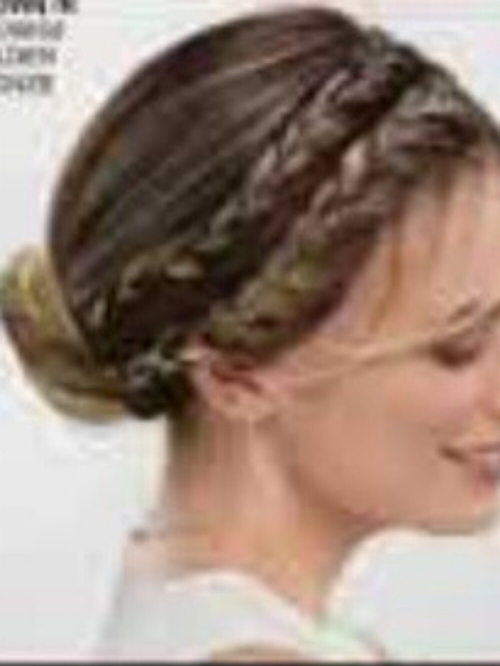 Paula Young A0135 Double Braid Updo Brown with Highlights